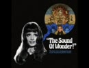 THE  SOUND OF WONDER（パキスタン映画のこんぴ）３
