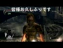 【デモンズソウル】アンバサ致命美女アンリー【PK】