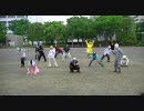 【厚木】LOVE&JOY【踊ってみた】