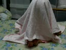 赤ちゃんがバスタオルを全身にかぶってみると