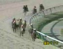 【岩手競馬】 2010/05/31　盛岡　第30回ダイヤモンドカップ