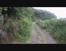 竹岡林道