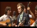 Punch Brothers - How to Grow a Woman from the Ground【Live】