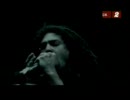 「洋楽」　Shadows Fall - Thoughts Without Words