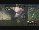 【MHP2G】にわかガンサーが行く！猫調教の旅【実況】Part 3