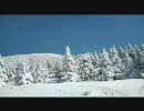【NNI】Awaiiro-ヒマツブシ