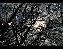[アレンジ]さくらさくら（日本古謡）[インスト]