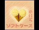 整理券　～ソフトケース～