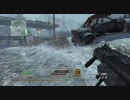 PS3 CoD:MW2 　（ア○ム）TDM　15