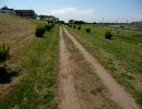 夏の香や　さぁペダル踏め　遠くへと