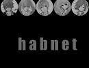 【合わせてみた】habnet【プラスPVもどき】