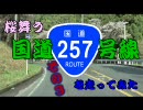 【車載動画】桜舞う国道257号線を走ってみた　その３