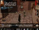 【NeverWinter Nights】フェイルーン冒険譚 Part35