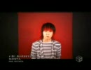 SHOWTA　【君に、風が吹きますように】