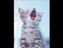 Utada　【Devil Inside】をカラオケで歌ってみた