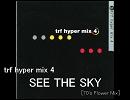 SEE THE SKY [70's Flower Mix] / trf