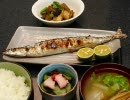 食べ物の画像(´ρ｀)