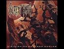 Decrepit Birth - Reflection of Emotions