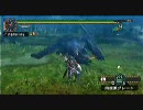 【MHP2G】ナルガクルガを普通プレイで5分針（閃光、音爆、罠なし）