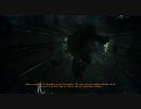 【ハードコア】日本語非対応涙目な男がMetro2033プレイ14【フルボッコ】