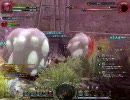 【dragonnest】　死の沼　【ドラゴンネスト】