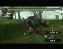 【実況】　自己満モンハンその２８　【MHP2G】
