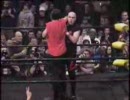 CZW - cage of death 8