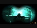 【ハードコア】日本語非対応涙目な男がMetro2033プレイ33【フルボッコ】