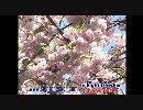 ニューヨーク植物園