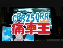 CBR250RRが痛車になるまで　Part20　タイガーカウル