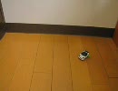 チョロQ-カエルタイヤ