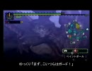 【MHP】ランスでゆっくり実況プレイ(カーナビ付き)_part9【ファンゴ祭り】