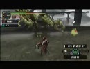 【実況】　自己満モンハンその２９　【MHP2G】