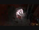 【ハードコア】日本語非対応涙目な男がMetro2033プレイ44【フルボッコ】