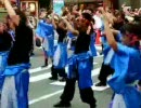 昨年のおどるんや！紀州よさこい・その１