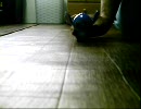 【6秒シリーズ】某キャラクターS、こける