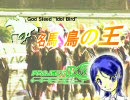 【iM@S架空戦記】名馬・鳥の王　第１７Ｒ