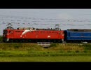 6月12日東大宮～蓮田間での撮影