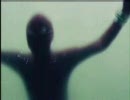 水中を泳ぐ男