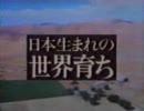 ソニー トリニトロンＣＭ「日本生まれの世界育ち」