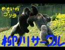 『柳川サークル』　第35回