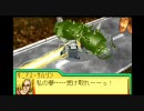 【GBA】　Gジェネアドバンス　セッション33　【プレイ動画】