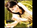歌ってみた＊You have a dream＊水樹奈々