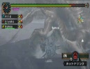 【MHP2G実況】初心者たちの狩り日記49