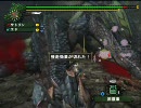 龍退治はもう飽きたＮＥＸＴ！「MHF CBT Edition」実況プレイPart8