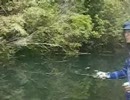 バス釣りルアー　ジグスピナー「神隠し」アクション動画