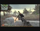 血ぃちゃんのDOM１２【CoD:MW2】