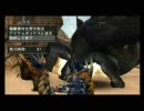 【MHP2G】実況！薬物取締り24時！12日目後編【薬禁止縛り】