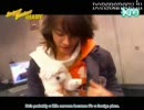 superjuniorのドッグカフェ