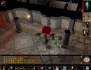 【NeverWinter Nights】フェイルーン冒険譚 Part37